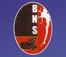 BNS Logo